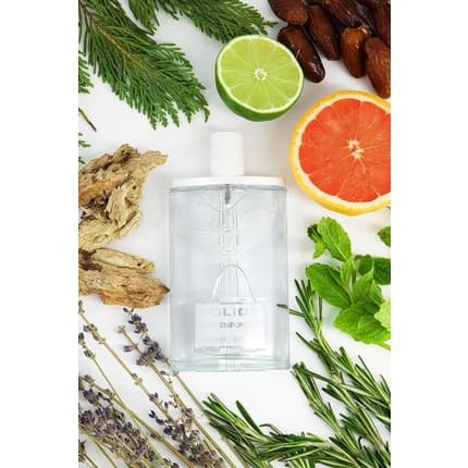 Maison des fragrances