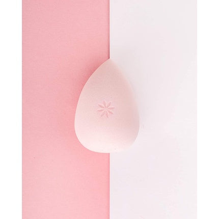 Brushworks Complexion Sponge