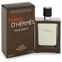 Terre D'Hermes Pour Homme Eau de Toilette Hermès