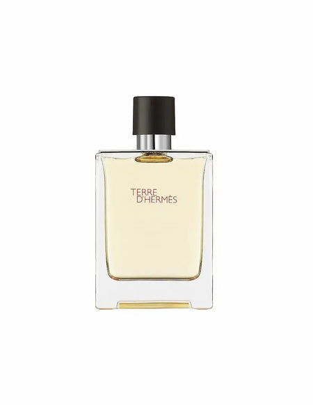 Terre D'Hermes par Hermes Eau De Toilette Pour Homme 100ml Hermès