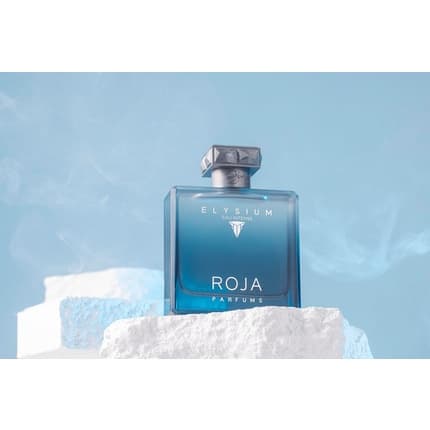 Roja Parfums Roja Elysium Eau Intense Eau de Parfum (EDP) Homme 101ml