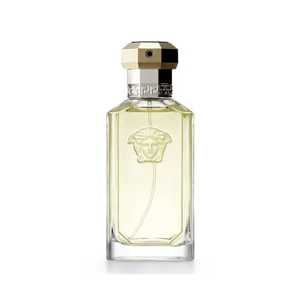 Versace  Dreamer Eau De Toilette Spray Pour Homme 100ml Versace