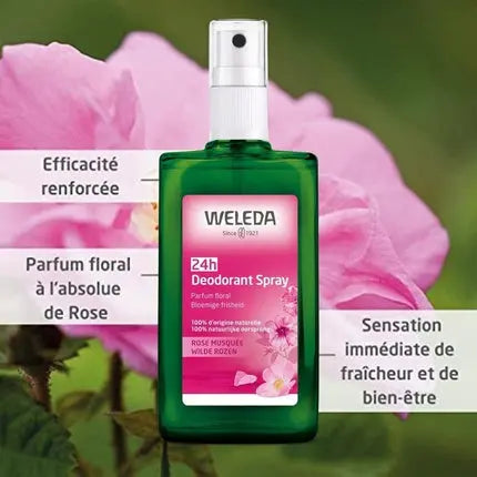 Weleda Wild Rose Deodorant 100ml Weleda