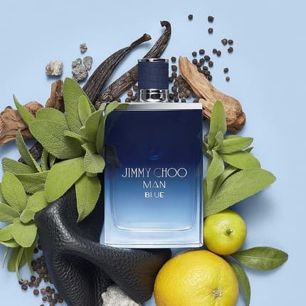 Jimmy Choo Man Blue Eau de Toilette (EDT) Homme 50ml