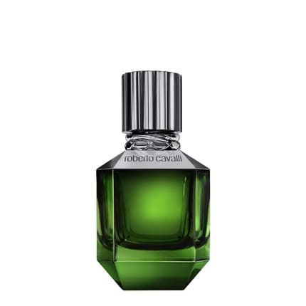 Roberto Cavalli Paradise Found Eau de Toilette (EDT) Homme 50ml