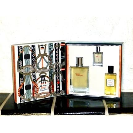 Hermès Hermes Terre D'Hermes Givree Set + + DG Eau de Parfum 100ml Unisexe