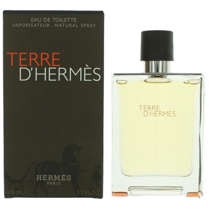 Hermes Terre D'Hermes Eau De Toilette Spray 100ml