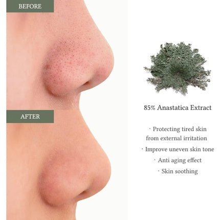 Anastatica Skin Conditioning Toner Pad - Maison des fragrances