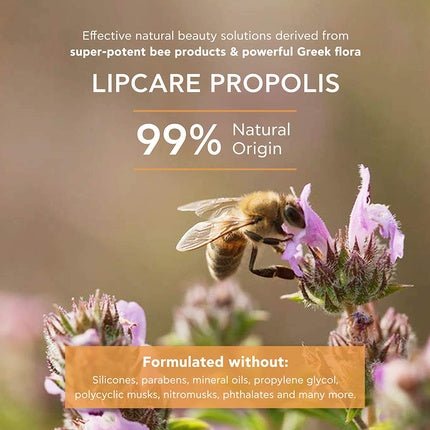 Apivita Propolis Lip Care 4.4g - Maison des fragrances