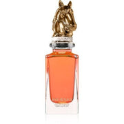 Aurora Journey - Unisex Perfume Eau de Parfum (EDP) Mixte 75ml - Maison des fragrances