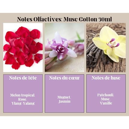 Ayat Perfumes Musk Cotton Oriental Arab Eau de Parfum (EDP) Mixte 30ml - Maison des fragrances