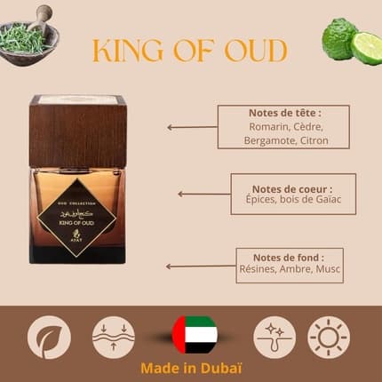Ayat Perfumes Oud Collection - Unisex Oriental Fragrance from Dubai Eau de Parfum (EDP) Mixte 100ml - Maison des fragrances
