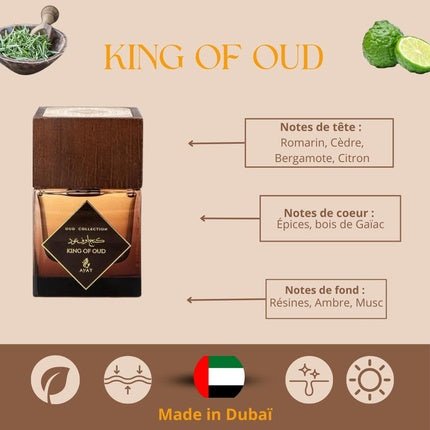 Ayat Perfumes Oud Collection - Unisex Oriental Fragrance from Dubai Eau de Parfum (EDP) Mixte 100ml - Maison des fragrances