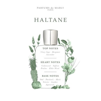 Parfums De Marly Haltane Eau de Parfum (EDP) Homme 75ml