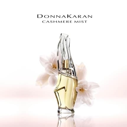 Donna Karan Cashmere Mist Eau de Parfum (EDP) Mixte 100ml