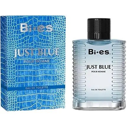 Bi-es Blue Homme Eau de toilette - Maison des fragrances