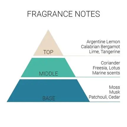 Bi-Es Porto Di Capri - Eau De Toilette Spray Homme 100ml - Maison des fragrances