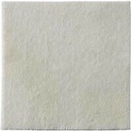 Biatain Alginate 10x10 10 Pieces - Maison des fragrances