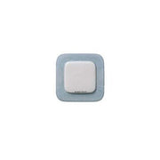 Biatain Silicone Sacro 15x19 - Maison des fragrances
