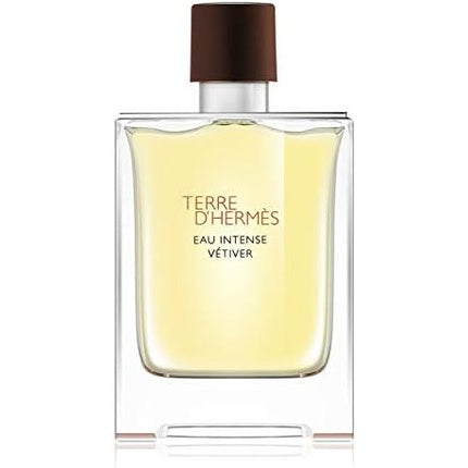 Hermes Terre D'Hermes Eau Intense Vetiver For Men 3.3 oz EDP Spray Hermès