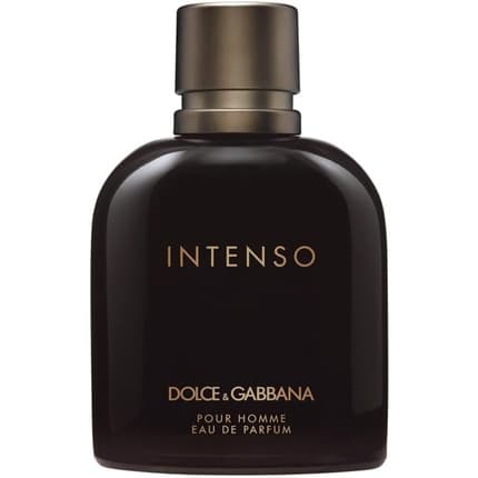 Dolce & Gabbana Pour Homme Intenso Eau De Parfum 40ml Men Spray