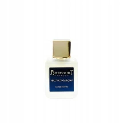 Brecourt Bad Boy Eau de Parfum 50ml Unisexe - Maison des fragrances