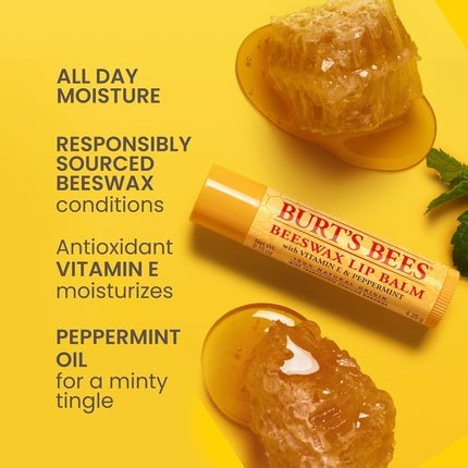 Burt's Bees Lip Balm Gift Set - Beeswax, Vanilla Bean, Cucumber Mint, Coconut - Maison des fragrances