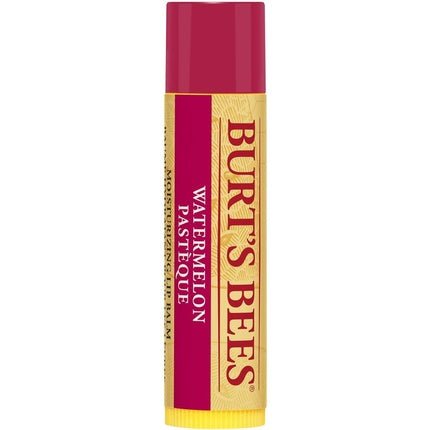 Burt's Bees Watermelon Lip Balm Stick 4.25g - Maison des fragrances