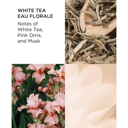 Elizabeth Arden White Tea Eau De Toilette Spray Perfume for Women Eau Florale 1.7 Fl Oz