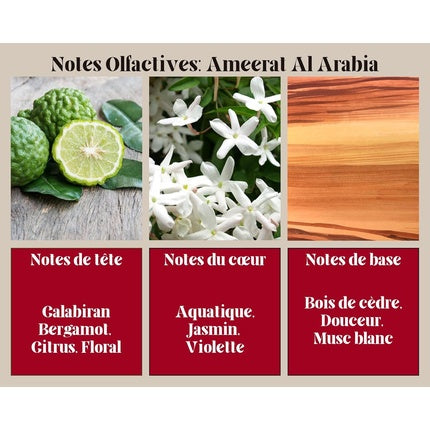 Ayat Perfumes Ameerat Al Arabia - Arabian Oriental Fragrance Eau de Parfum (EDP) Femme 100ml