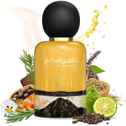Incense Intense Perfume for Men 100ml Eau De Parfum Interlude Men Perfume Strong Scent Woody Spicy Amber Leather Nylaa