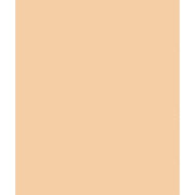 Compacto Flat Perfection 8g Medium Warm - Maison des fragrances