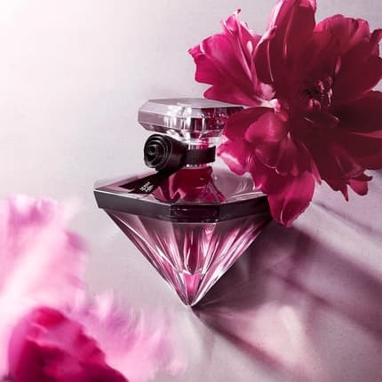 Maison des fragrances