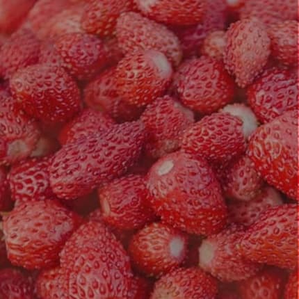 Aquolina Fragrant Body Water Wild Strawberry Eau de Toilette (EDT) Mixte 150ml
