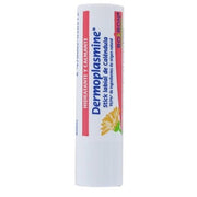 Dermoplasmine Calendula Lip Stick 4g - Maison des fragrances