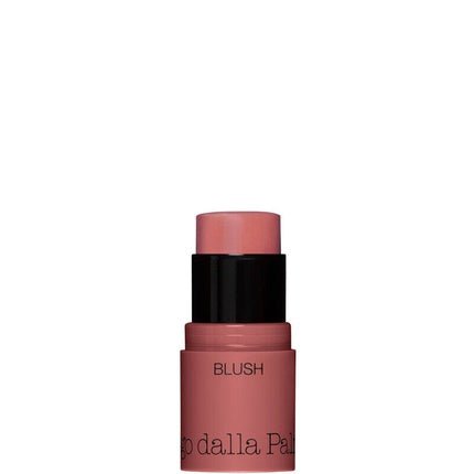 Diego Dalla Palma All In One Blush N.43 Rosa - Maison des fragrances