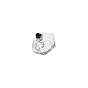 Don Algodon Articulos Sin Caja Pacha Queen Glam Eau de Toilette (EDT) Mixte 80ml - Maison des fragrances
