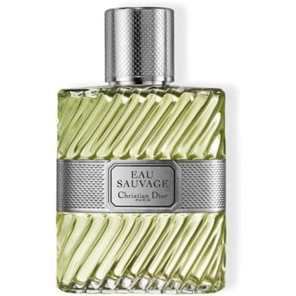 Dior Wild Water Man - Toilet Eau 50ml