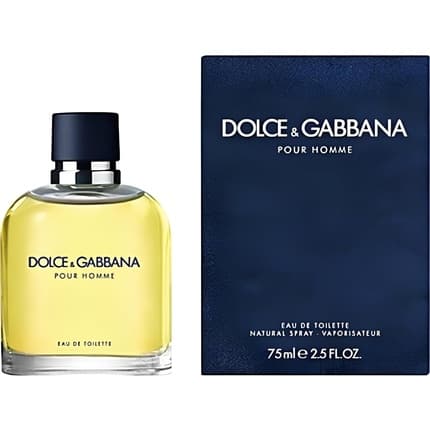 Dolce & Gabbana Dolce and Gabbana Eau de Toilette 75ml pour homme