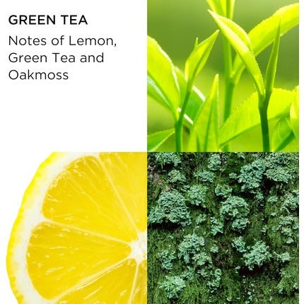 Elizabeth Arden Green Tea Scent 2-Piece Gift Set Coffret (Coffret) Femme 100ml - Maison des fragrances