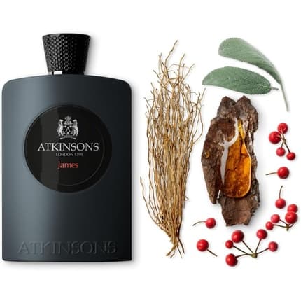 Atkinsons James Eau de Parfum (EDP) Mixte 100ml