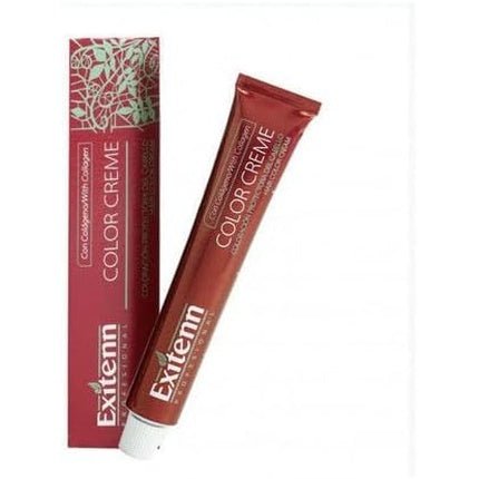 Exitenn Color Cream 60ml Color 1122 Wheat Beige - Maison des fragrances