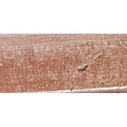 Eyebrow Pencil with Precise Style Brush 5 ml Shade P1 - Maison des fragrances