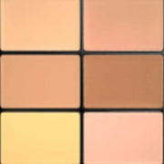 Face Pro Conceal and Correct Palette 6 grams Shade Medium - Maison des fragrances