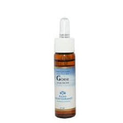 Forza Vita Fiori Mediterranei Gorse 10Ml - Maison des fragrances