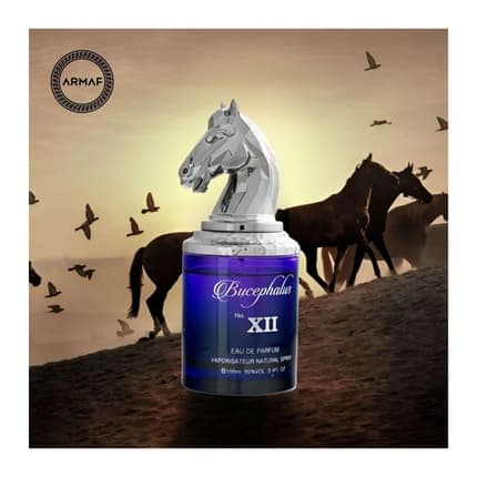 Armaf Bucephalus No Xii Eau de Parfum (EDP) Mixte 100ml