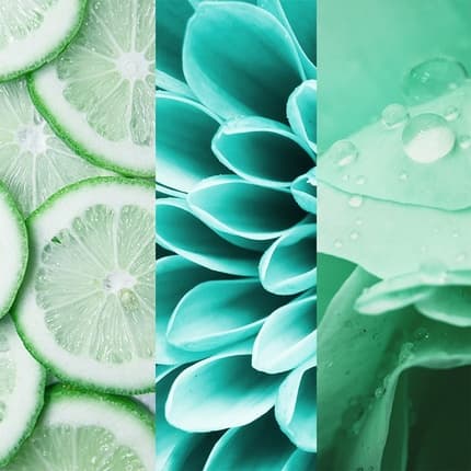 8x4 N°7 Fresh Lime Deodorant 150ml Unisexe
