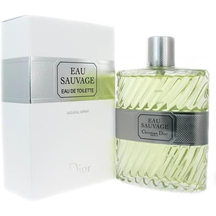 Dior Wild Water Man - Toilet Eau 50ml