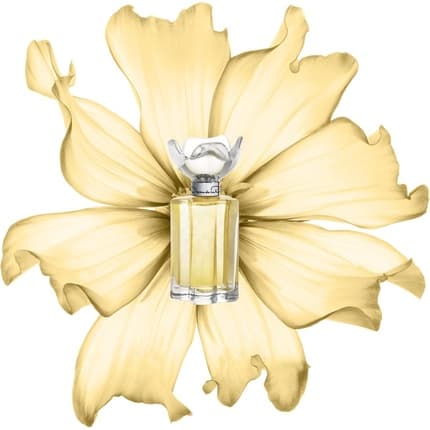 Oscar De La Renta Esprit D'Oscar Eau de Parfum (EDP) Mixte 100ml