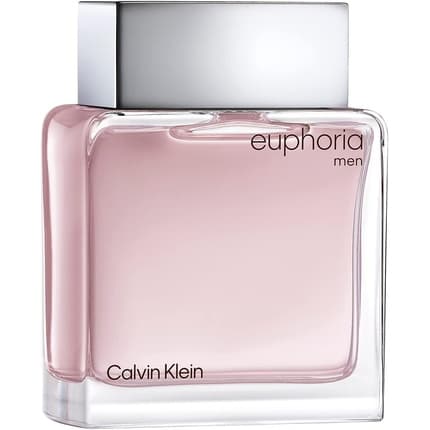 Calvin Klein Euphoria Eau de Toilette (EDT) Homme 100ml